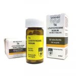 T4 Levothyroxine Sodium 100 mcg ( Levothyroxine Sodium) - Medicine for Balanced thyroid function