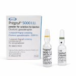 PREGNYL - 5000IU - 1 Vial
